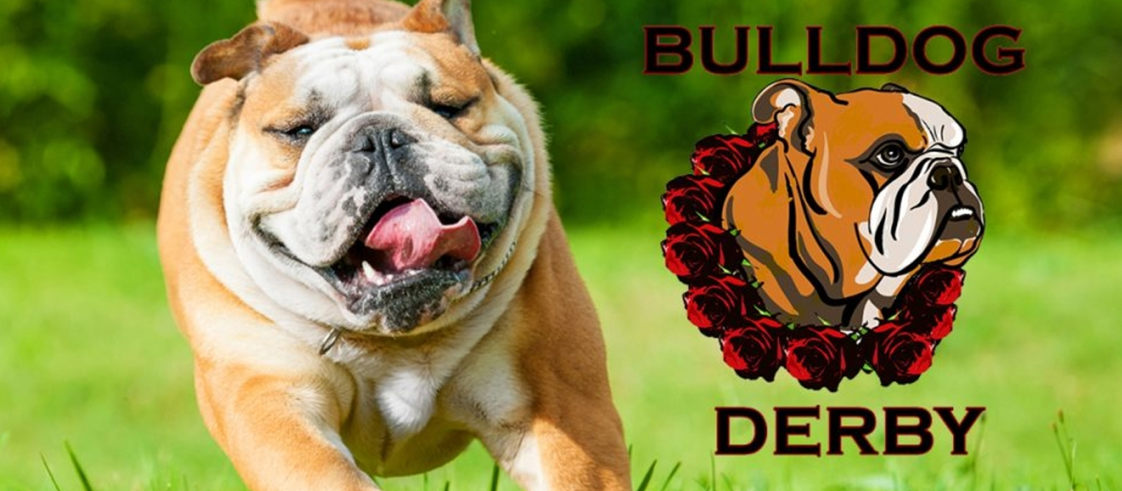 bulldog derby
