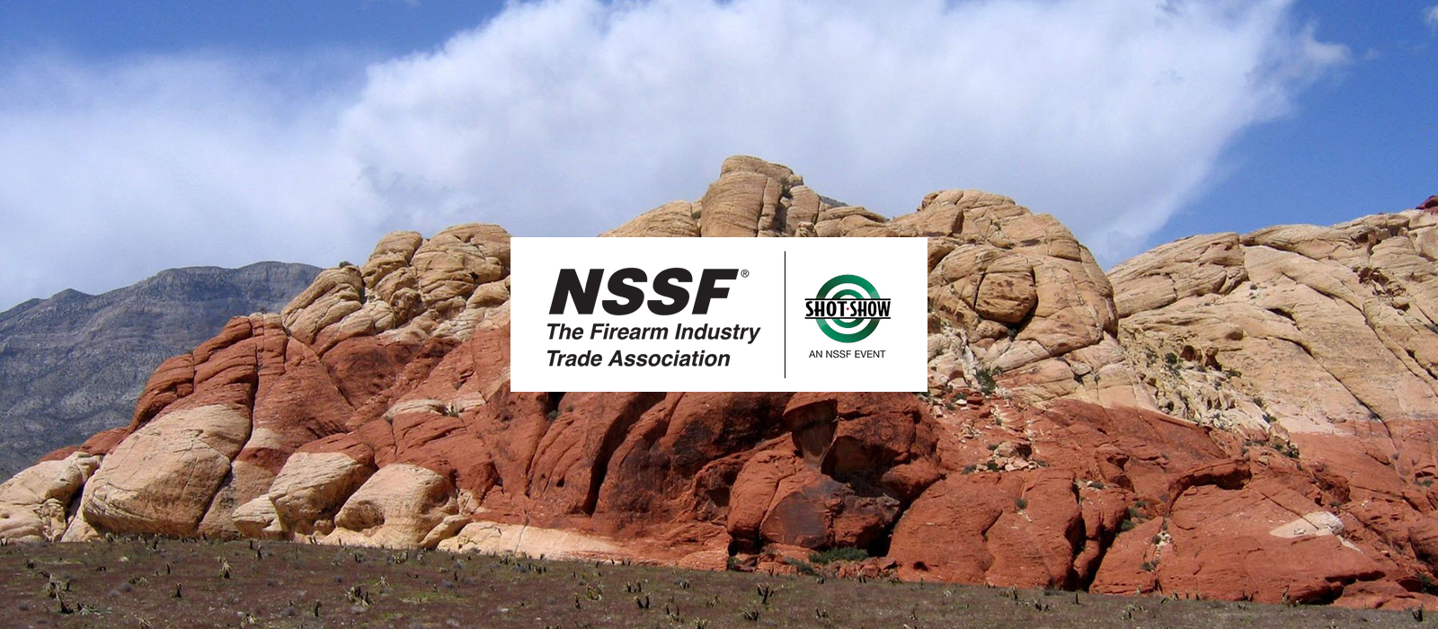 nssf-banner