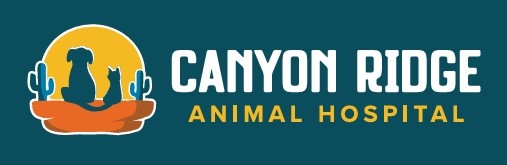 Canyon_Ridge_07152024161334-wEgqym.tmp_